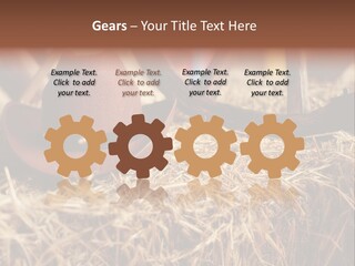 White Western Traditional PowerPoint Template