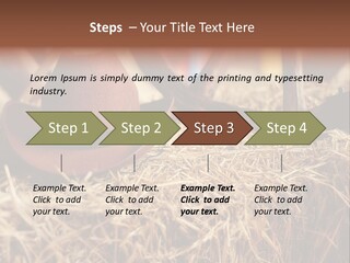 White Western Traditional PowerPoint Template