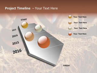 White Western Traditional PowerPoint Template