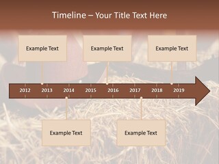 White Western Traditional PowerPoint Template