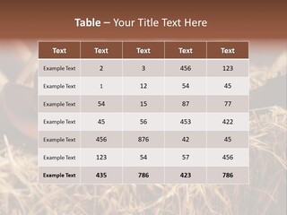 White Western Traditional PowerPoint Template