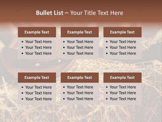 White Western Traditional PowerPoint Template