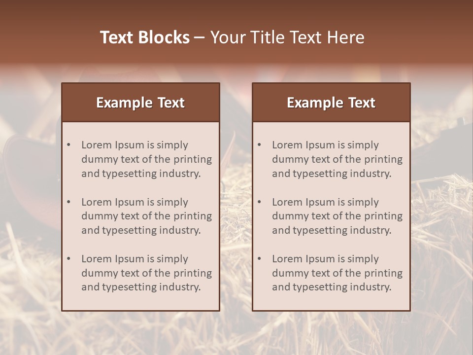 White Western Traditional PowerPoint Template
