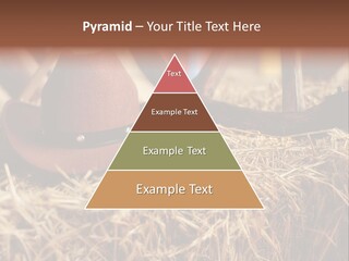 White Western Traditional PowerPoint Template