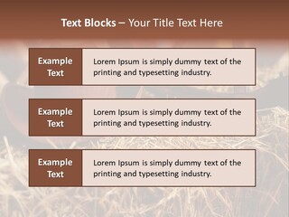 White Western Traditional PowerPoint Template