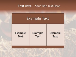 White Western Traditional PowerPoint Template