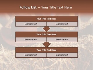 White Western Traditional PowerPoint Template