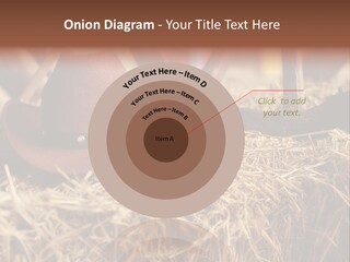 White Western Traditional PowerPoint Template