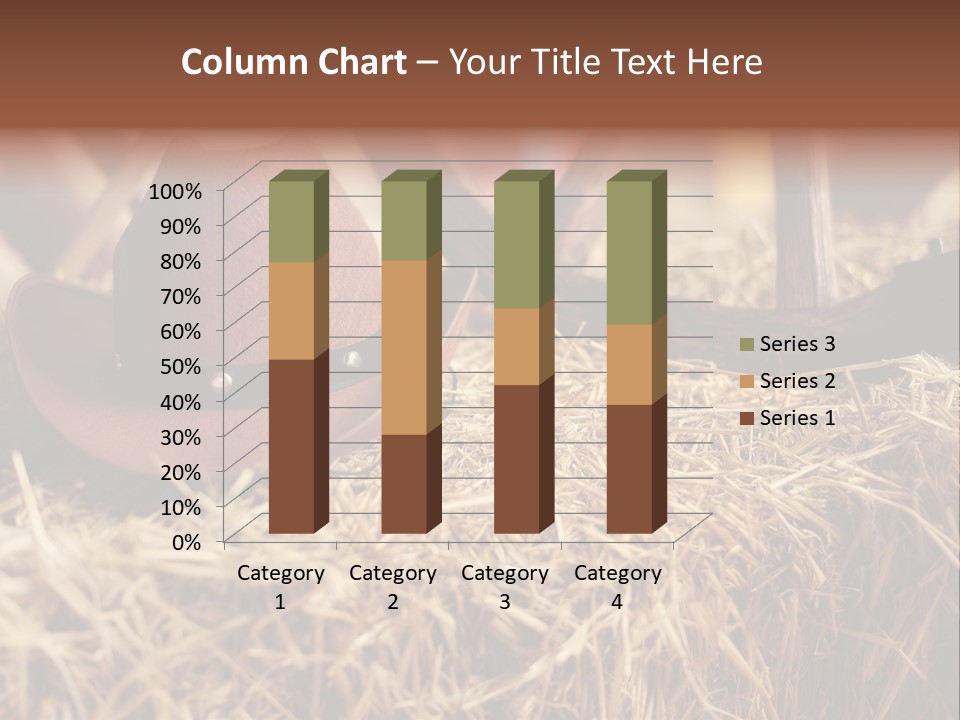 White Western Traditional PowerPoint Template