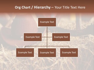 White Western Traditional PowerPoint Template