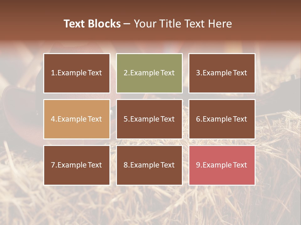 White Western Traditional PowerPoint Template