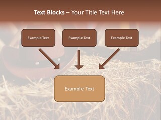 White Western Traditional PowerPoint Template