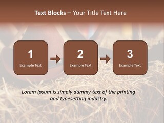 White Western Traditional PowerPoint Template