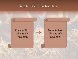 White Western Traditional PowerPoint Template