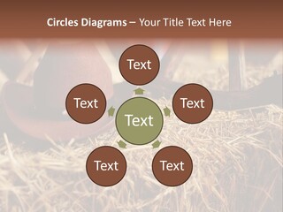 White Western Traditional PowerPoint Template