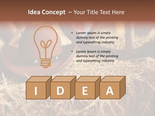 White Western Traditional PowerPoint Template