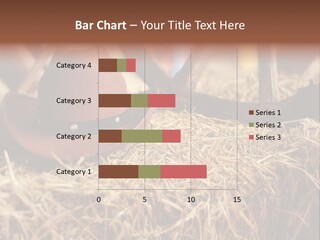 White Western Traditional PowerPoint Template
