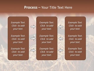 White Western Traditional PowerPoint Template