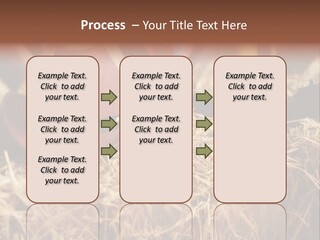 White Western Traditional PowerPoint Template