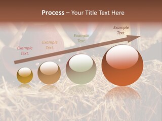 White Western Traditional PowerPoint Template