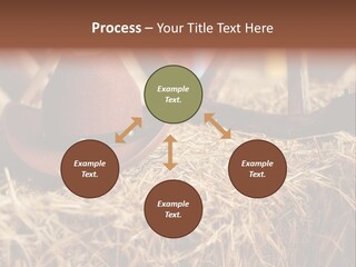 White Western Traditional PowerPoint Template