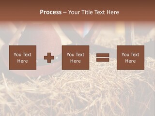 White Western Traditional PowerPoint Template