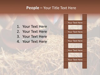 White Western Traditional PowerPoint Template