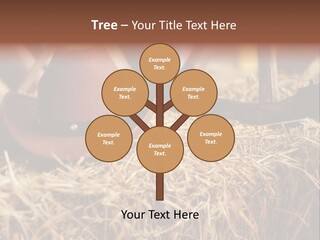White Western Traditional PowerPoint Template
