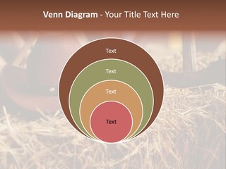 White Western Traditional PowerPoint Template