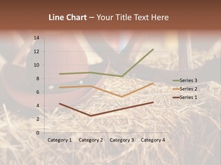 White Western Traditional PowerPoint Template