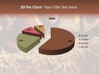 White Western Traditional PowerPoint Template