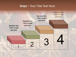 White Western Traditional PowerPoint Template