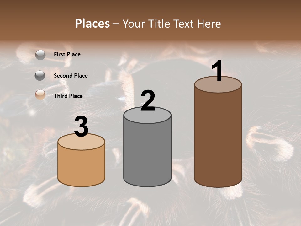 Wild Closeup Spooky PowerPoint Template