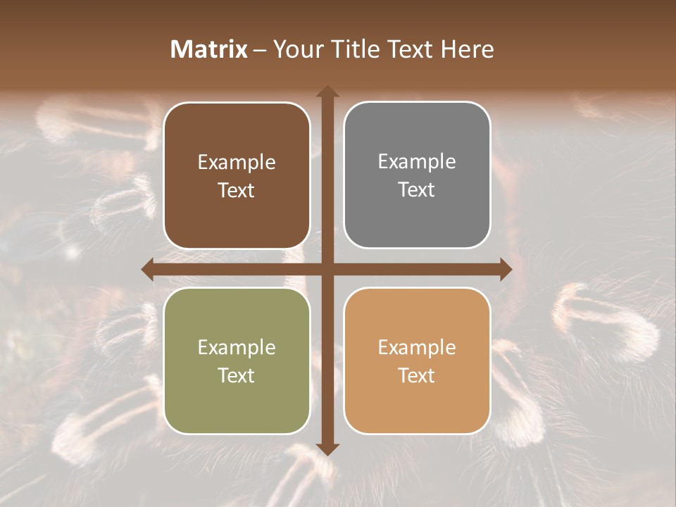 Wild Closeup Spooky PowerPoint Template