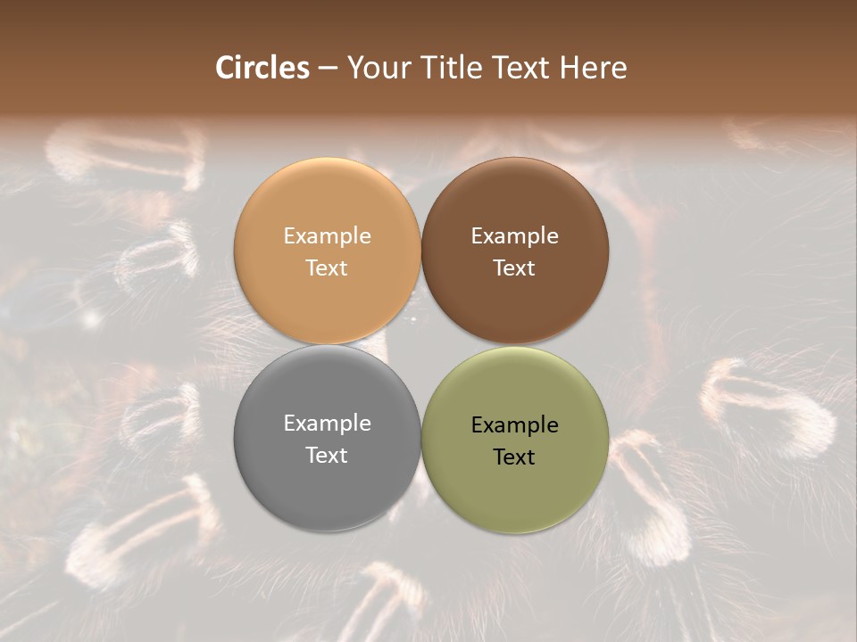 Wild Closeup Spooky PowerPoint Template