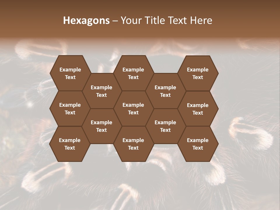 Wild Closeup Spooky PowerPoint Template