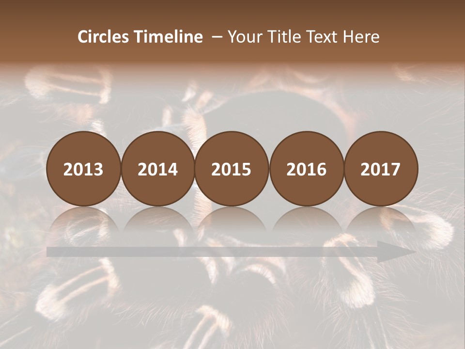 Wild Closeup Spooky PowerPoint Template