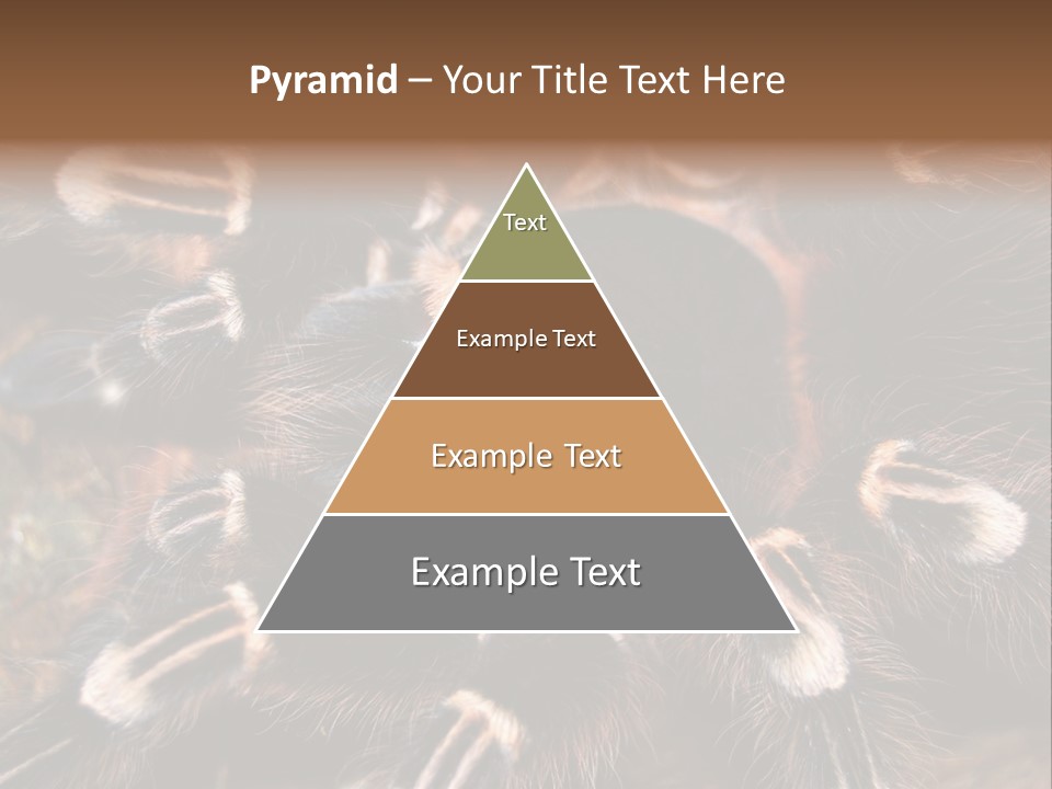 Wild Closeup Spooky PowerPoint Template