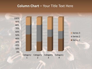 Wild Closeup Spooky PowerPoint Template