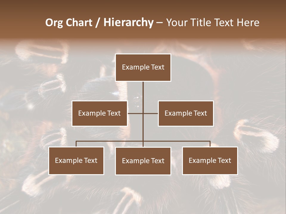 Wild Closeup Spooky PowerPoint Template