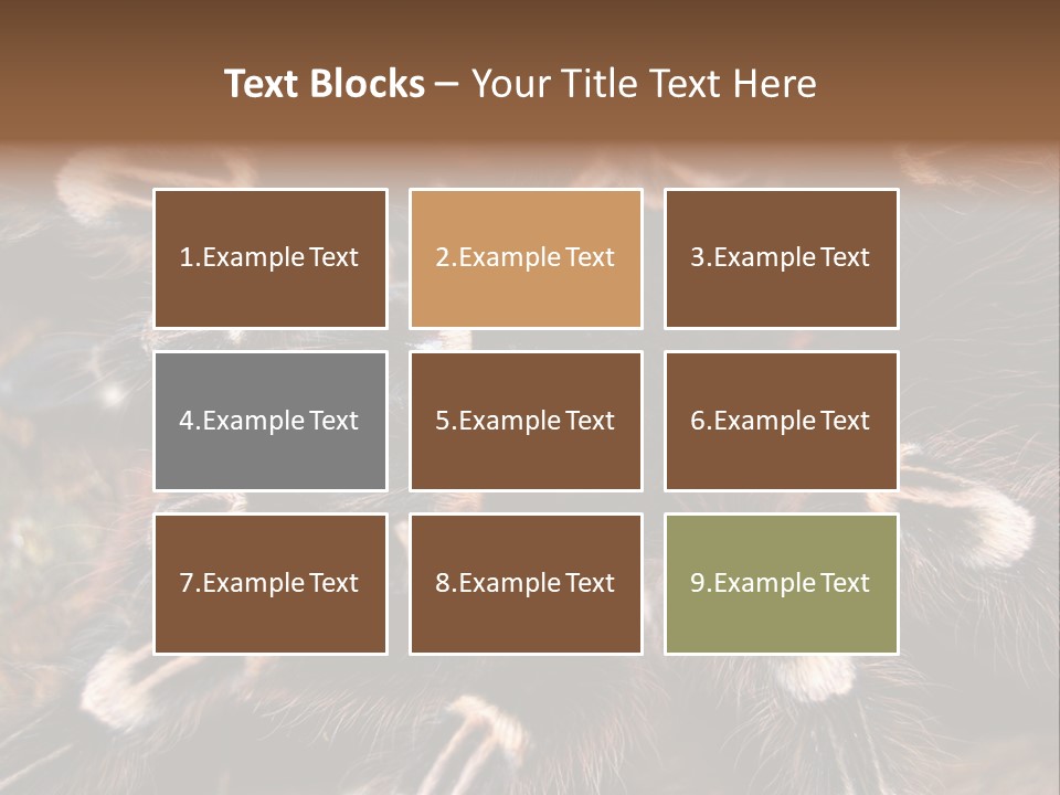 Wild Closeup Spooky PowerPoint Template