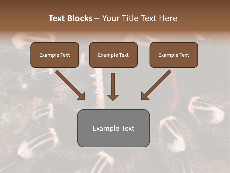 Wild Closeup Spooky PowerPoint Template