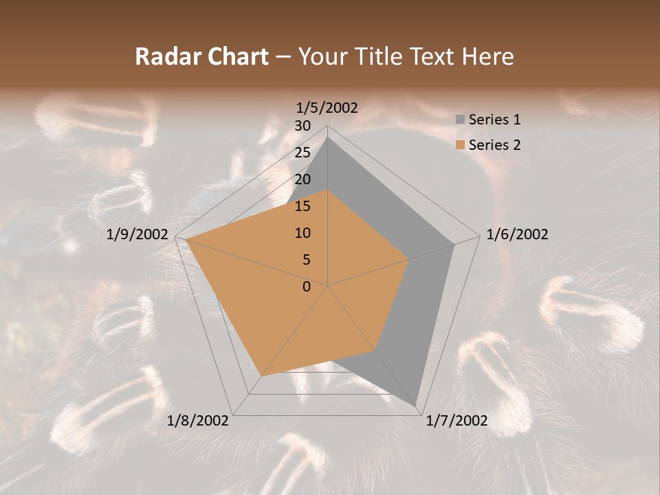 Wild Closeup Spooky PowerPoint Template