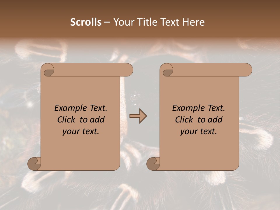Wild Closeup Spooky PowerPoint Template