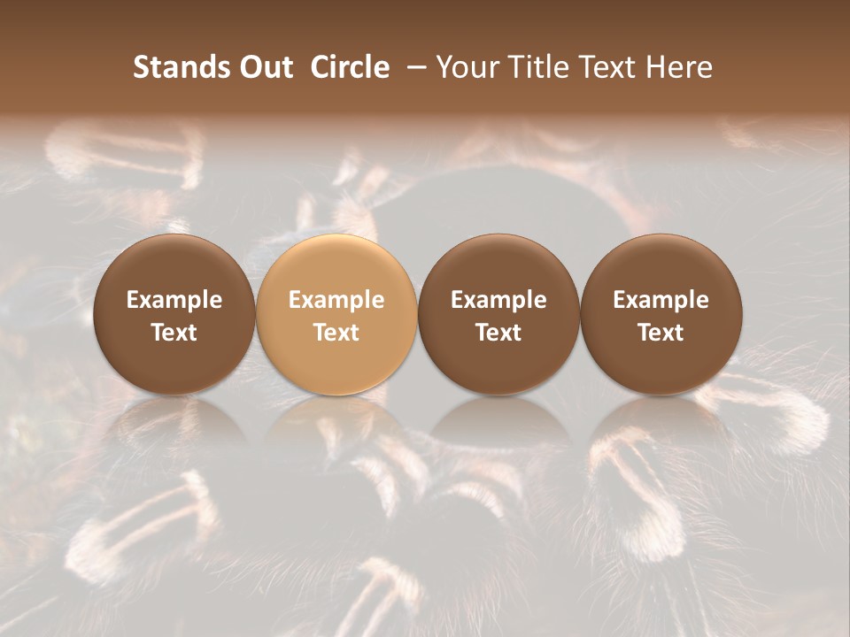 Wild Closeup Spooky PowerPoint Template
