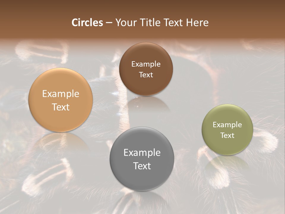 Wild Closeup Spooky PowerPoint Template
