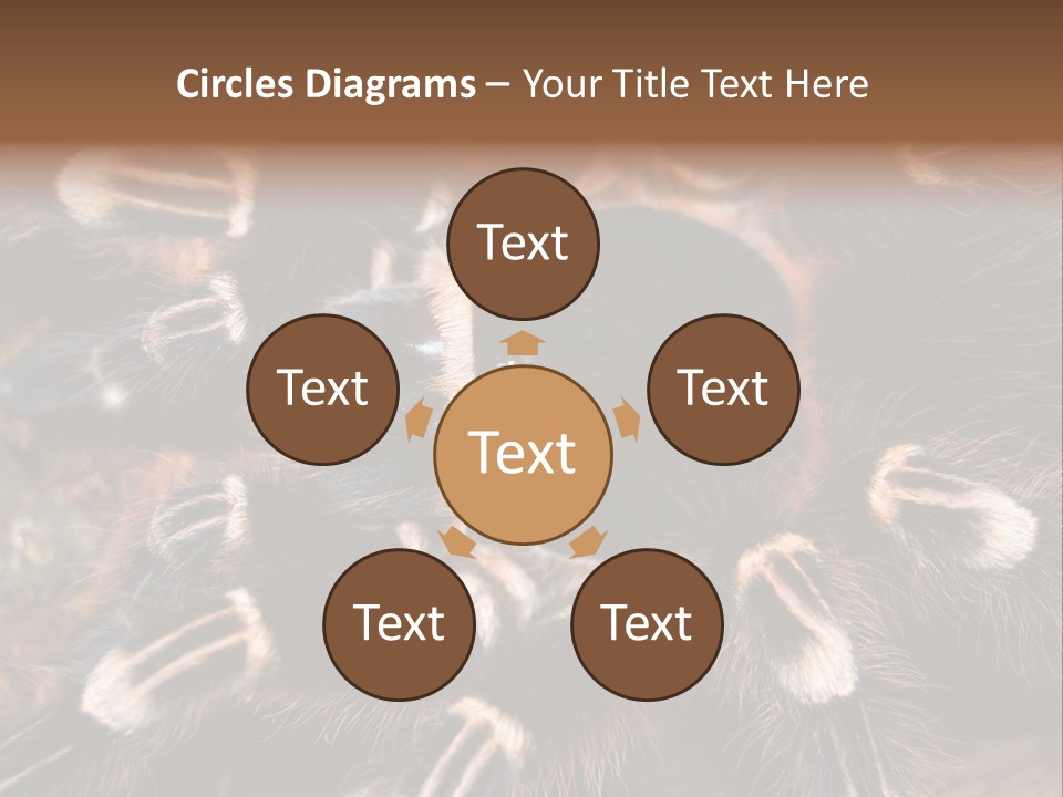 Wild Closeup Spooky PowerPoint Template