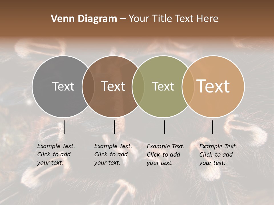 Wild Closeup Spooky PowerPoint Template
