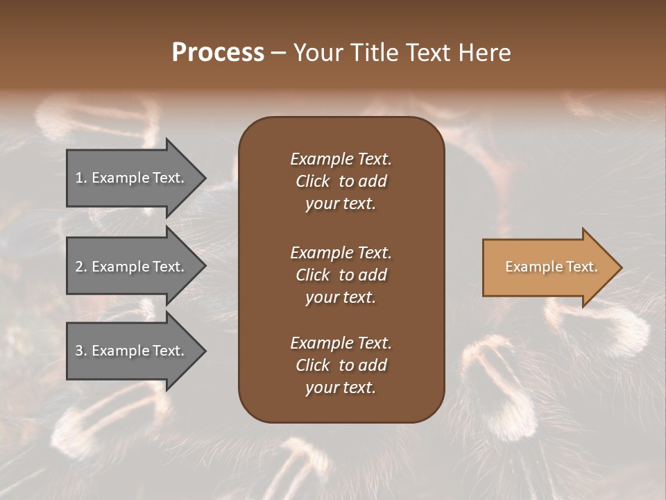 Wild Closeup Spooky PowerPoint Template