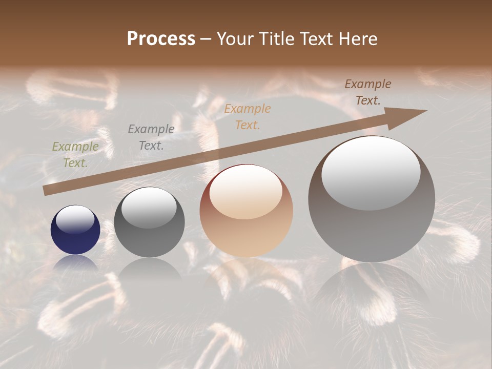 Wild Closeup Spooky PowerPoint Template